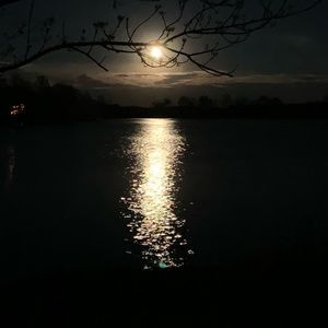 Meet your Posher, Aimee